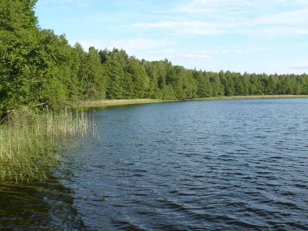 Letniskowy - * Jerutki